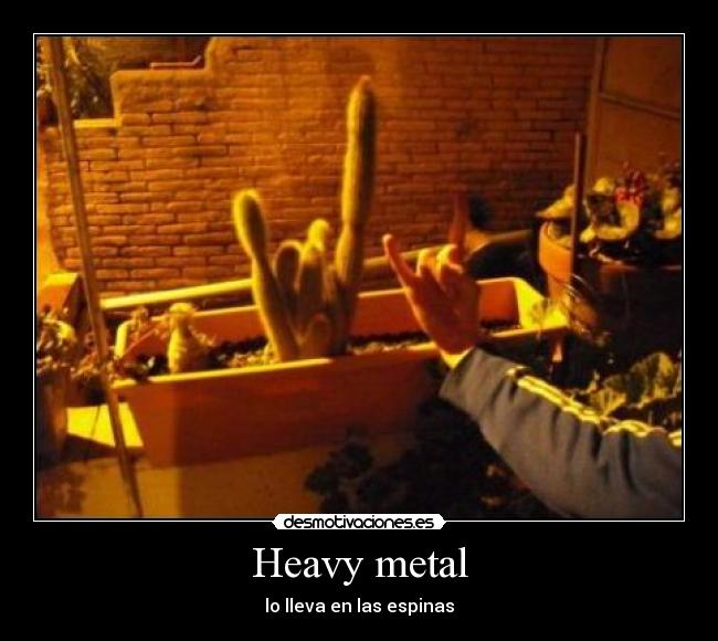 carteles ernesto desmotivaciones