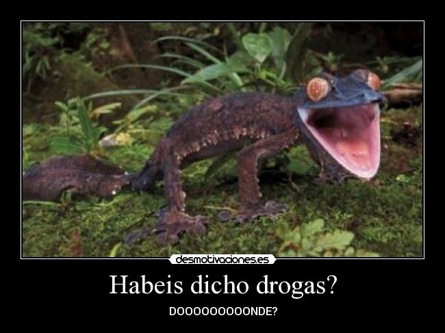 Habeis dicho drogas? - DOOOOOOOOONDE?