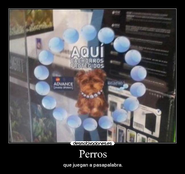 carteles perros pasapalabra desmotivaciones