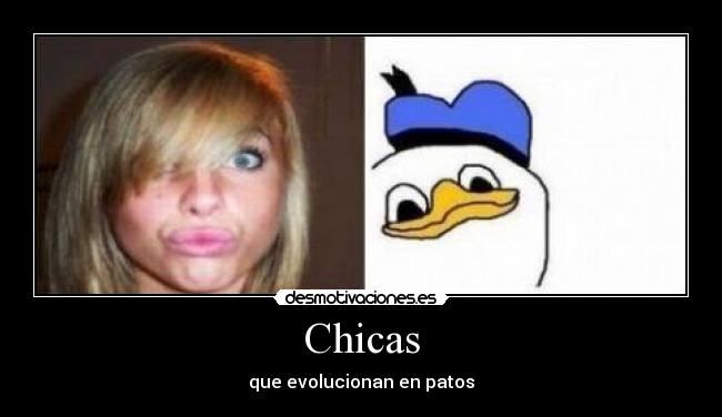 Chicas - que evolucionan en patos