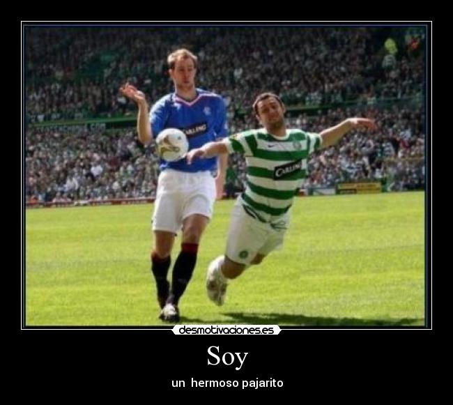 Soy - un hermoso pajarito