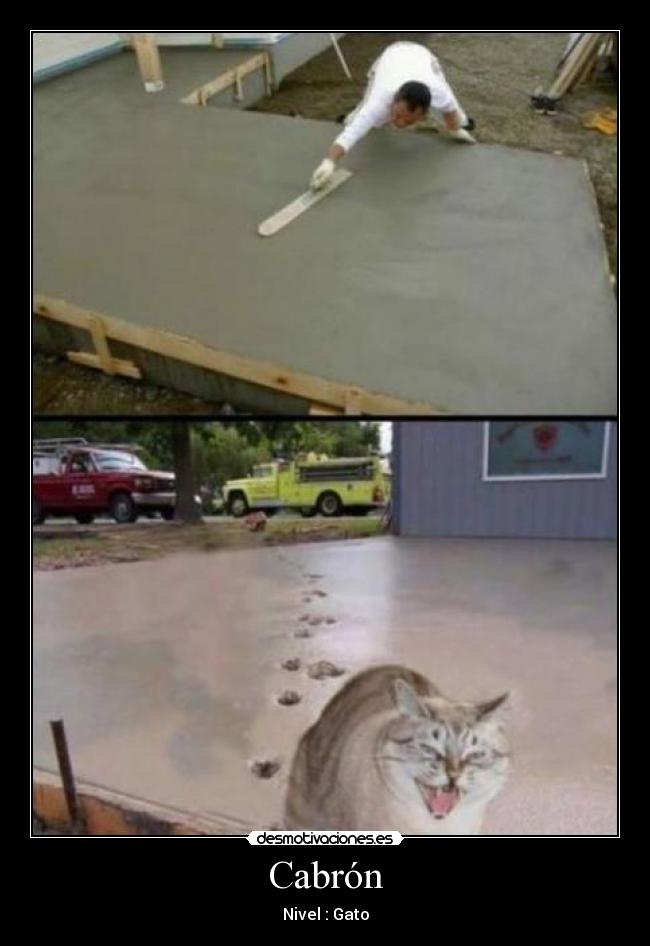 Cabrón -