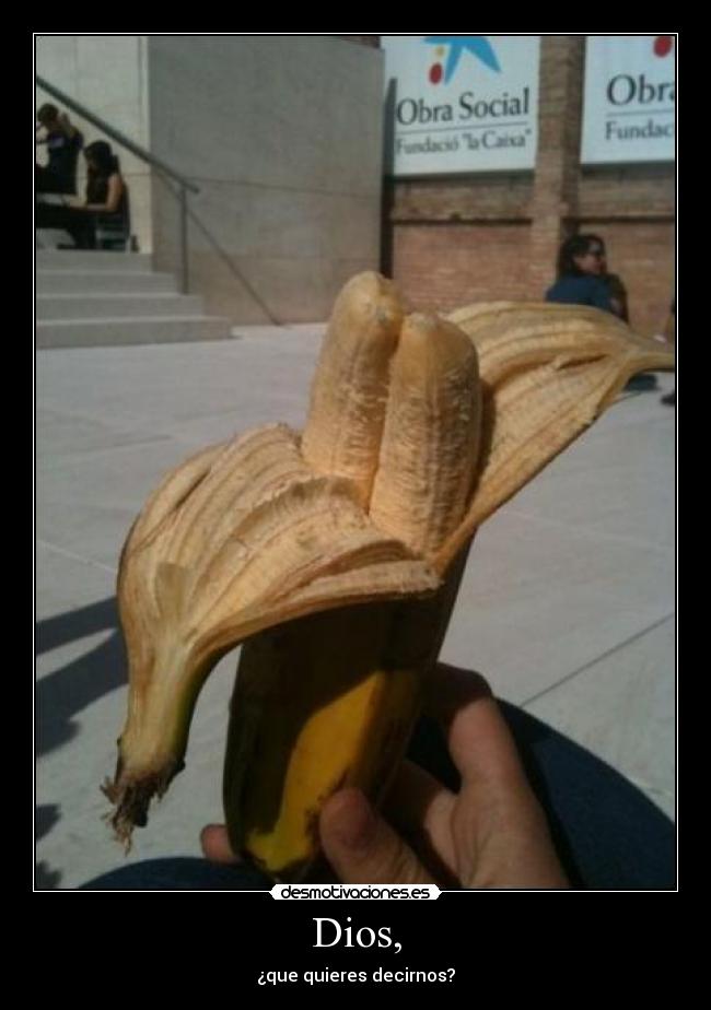 Dios, - ¿que quieres decirnos?