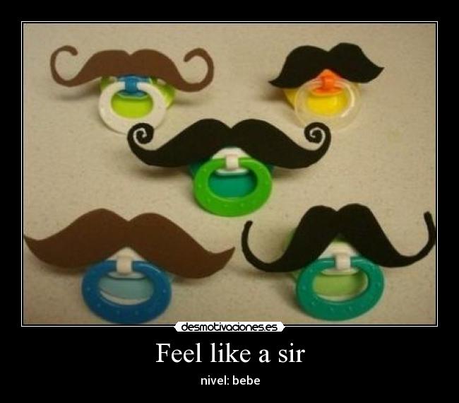 Feel like a sir - 