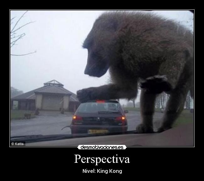 carteles king kong desmotivaciones