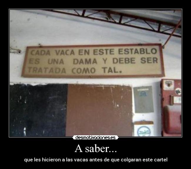 A saber... - que les hicieron a las vacas antes de que colgaran este cartel