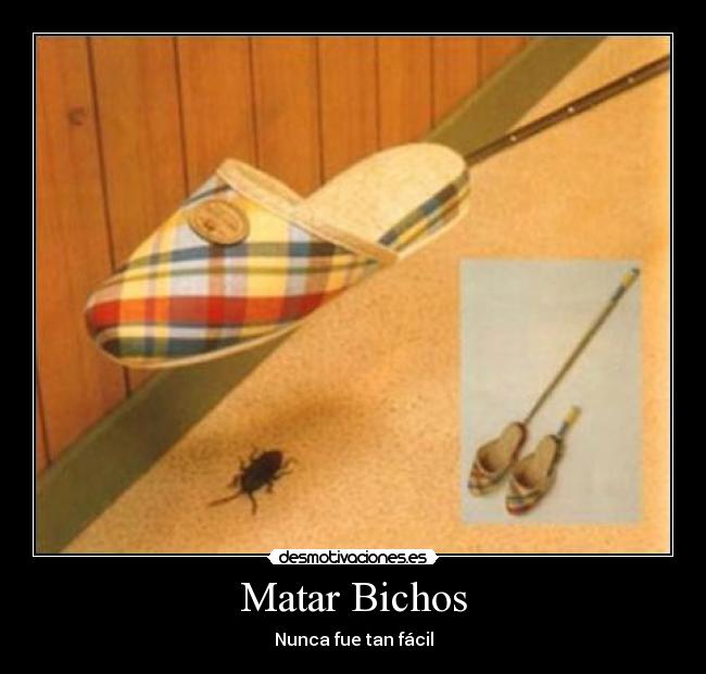Matar Bichos - 