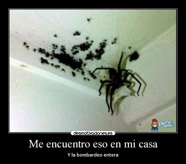 Me encuentro eso en mi casa - Y la bombardeo entera