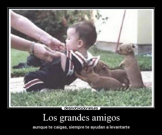 Los grandes amigos - aunque te caigas, siempre te ayudan a levantarte