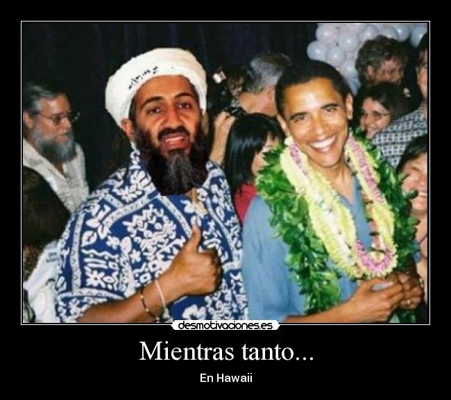 carteles osama bin laden barack obama desmotivaciones