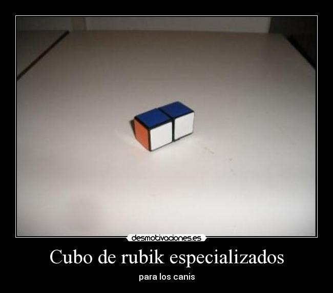 Cubo de rubik especializados - para los canis