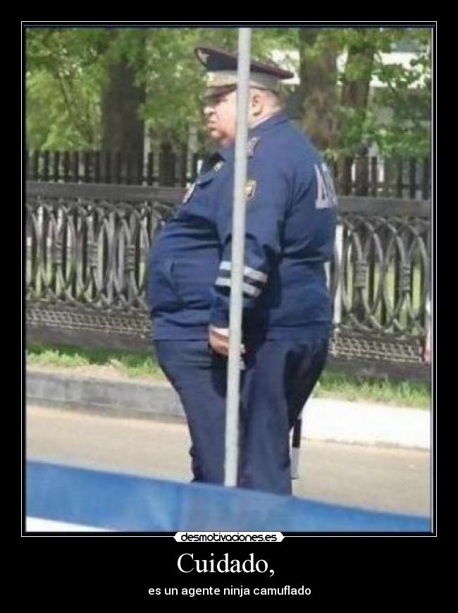 Cuidado, - es un agente ninja camuflado