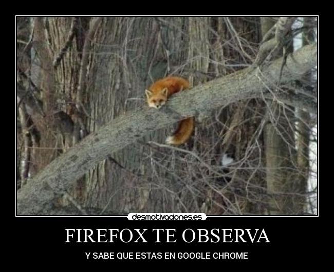 FIREFOX TE OBSERVA - 
