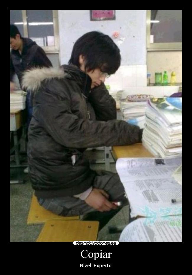 Copiar - 