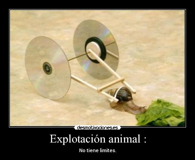 carteles eeeee desmotivaciones