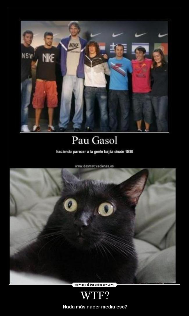 carteles wtf desmotivaciones