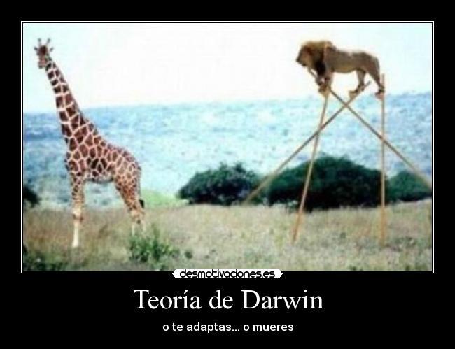 Teoría de Darwin - 