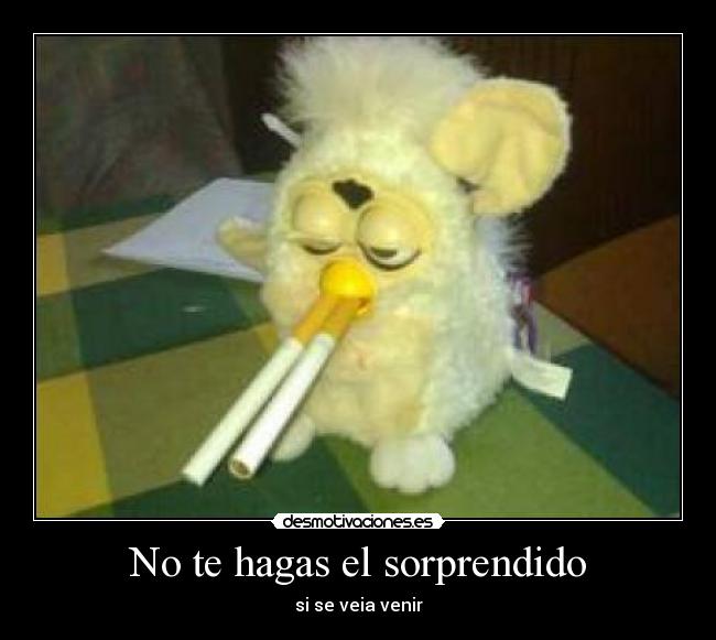 No te hagas el sorprendido - 