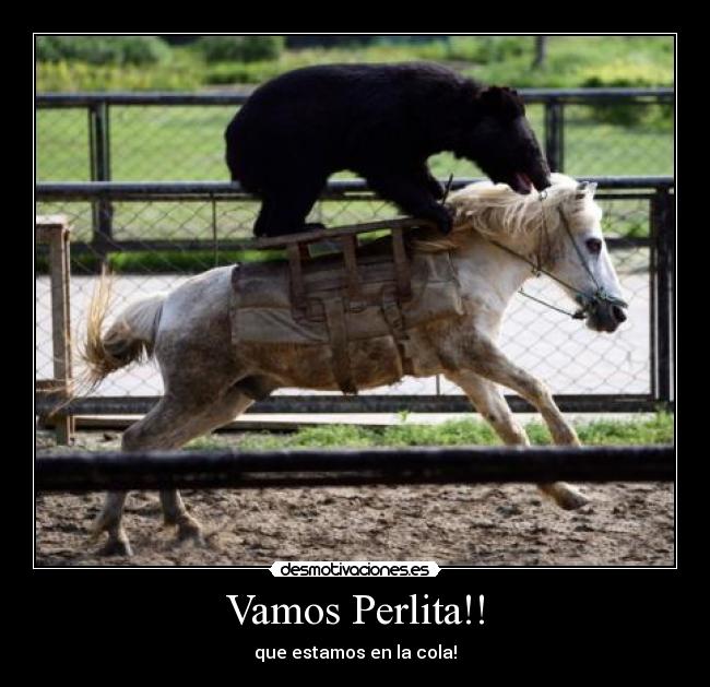 Vamos Perlita!! - que estamos en la cola!