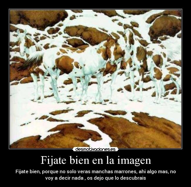 Fijate bien en la imagen -