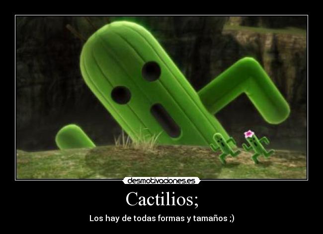 Cactilios; - Los hay de todas formas y tamaños ;)