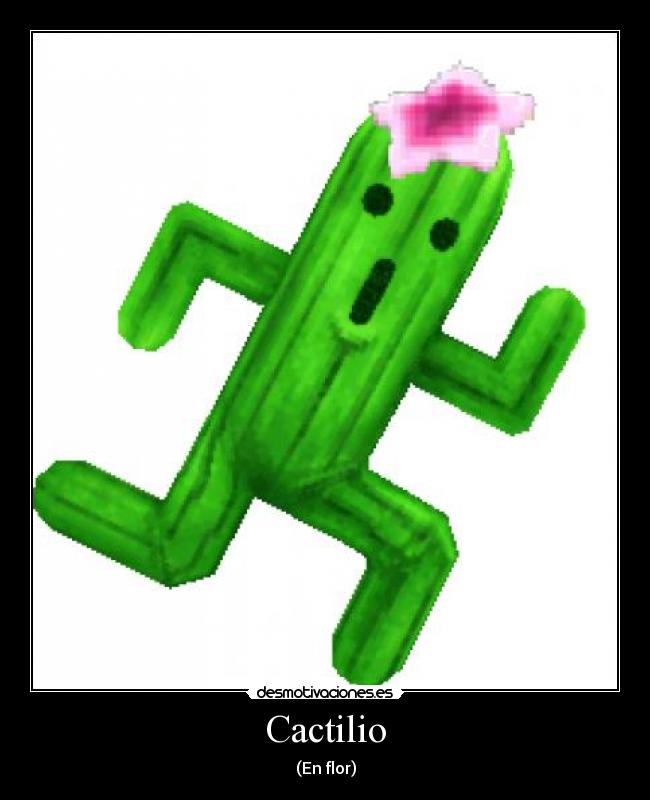 Cactilio - (En flor)
