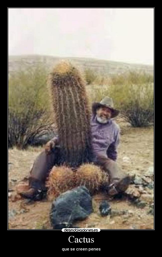 Cactus - que se creen penes