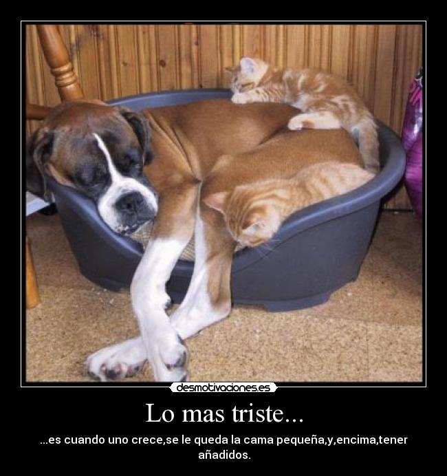 Lo mas triste... -