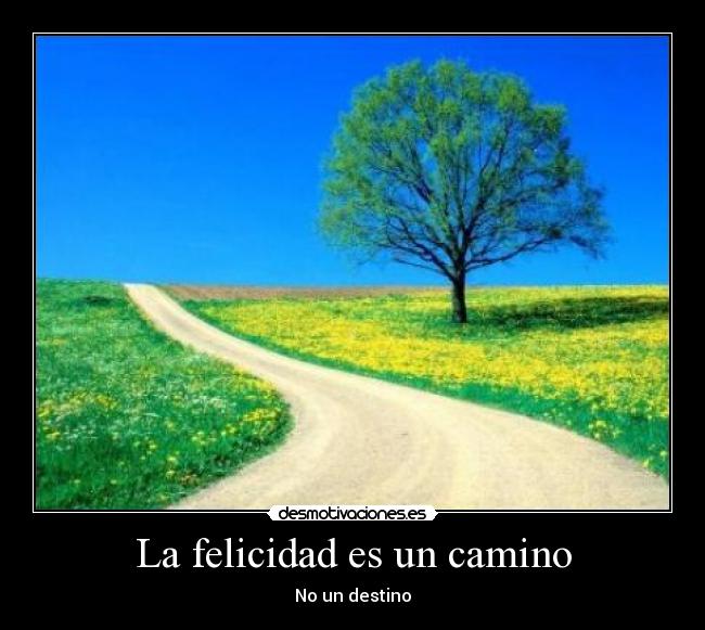 La felicidad es un camino - 
