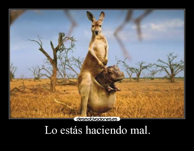 Lo estás haciendo mal. - 