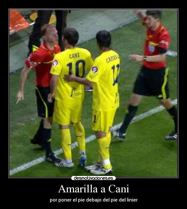 Amarilla a Cani - 