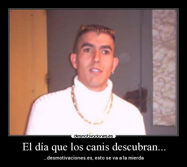 carteles canis desmotivaciones mierda desmotivaciones