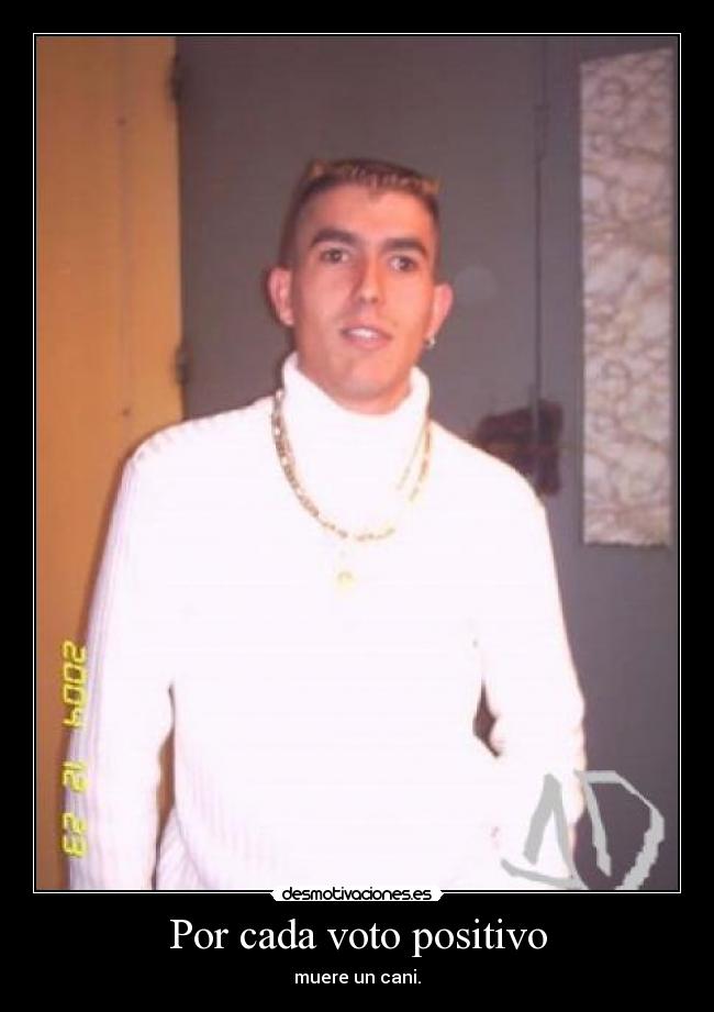 Por cada voto positivo -