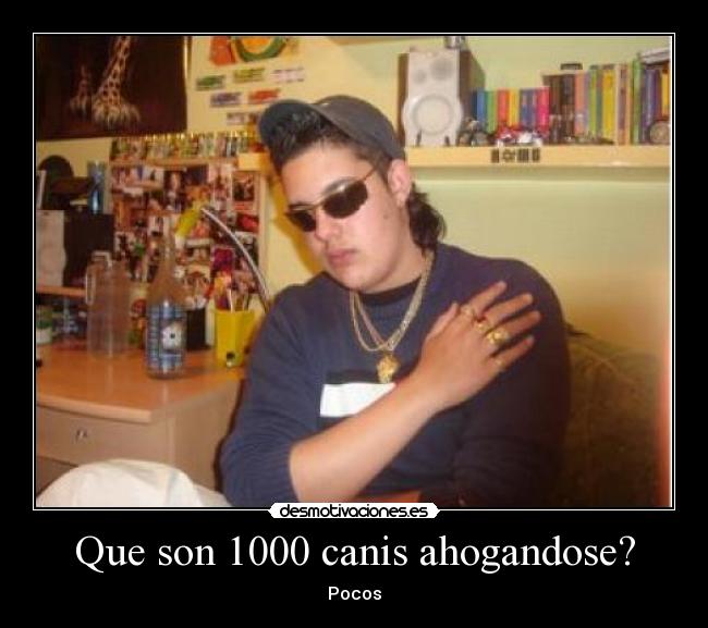 Que son 1000 canis ahogandose? - Pocos