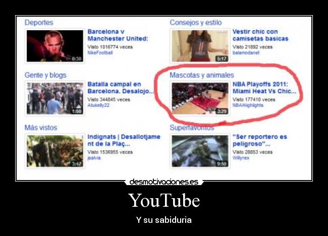 YouTube - 