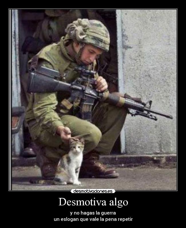 carteles starship waltk gatos soldado desmotivaciones