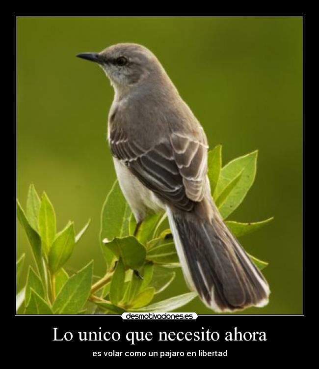 carteles demotivacinoes desmotivaciones