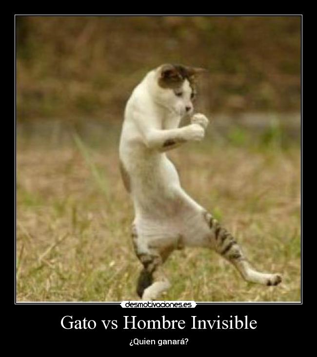 Gato vs Hombre Invisible - 