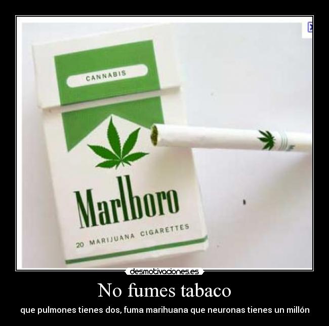 No fumes tabaco - 