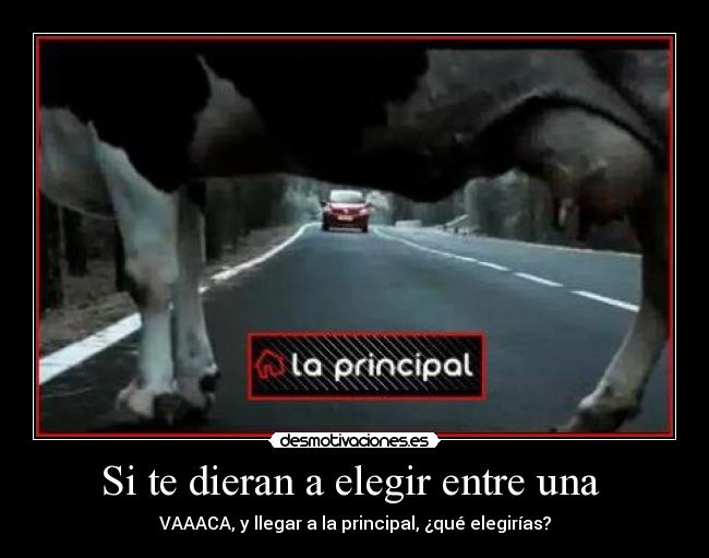 Si te dieran a elegir entre una  - 