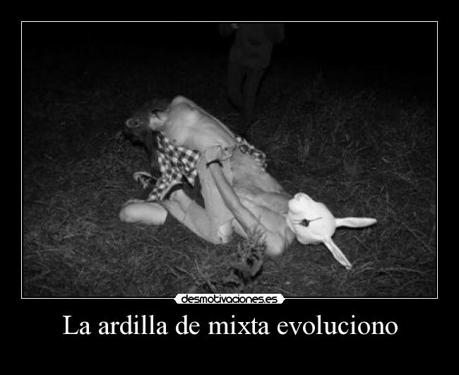 La ardilla de mixta evoluciono - 