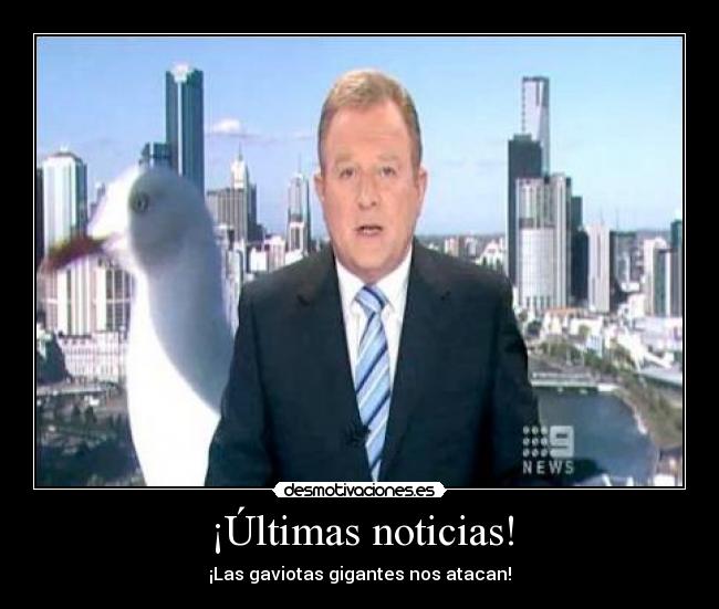 ¡Últimas noticias! - ¡Las gaviotas gigantes nos atacan!