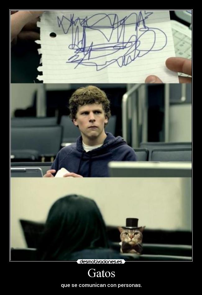 Gatos - que se comunican con personas.