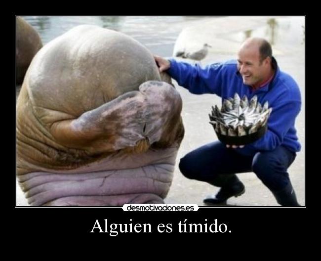 Alguien es tímido. - 