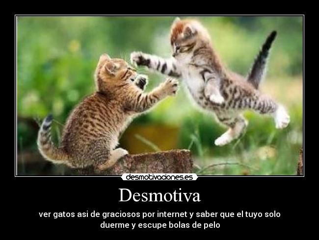 Desmotiva - 