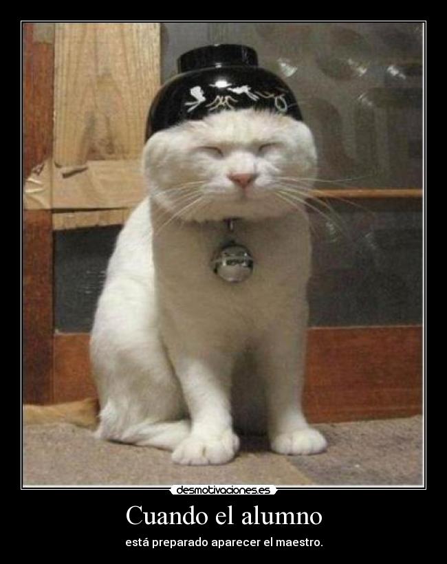 carteles pues eso soy sensei desmotivaciones