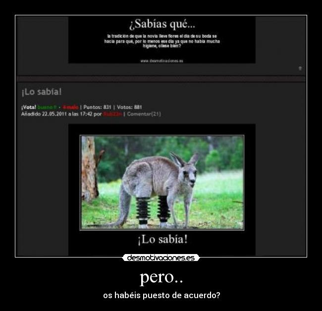 pero.. - os habéis puesto de acuerdo?