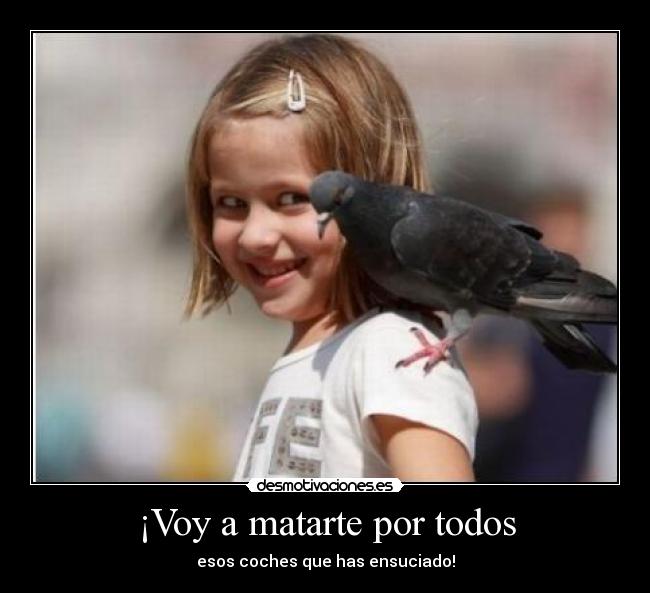 ¡Voy a matarte por todos - esos coches que has ensuciado!