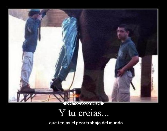 Y tu creias... - 