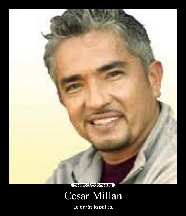 Cesar Millan - Le darás la patita.